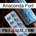 Anaconda Strong 40